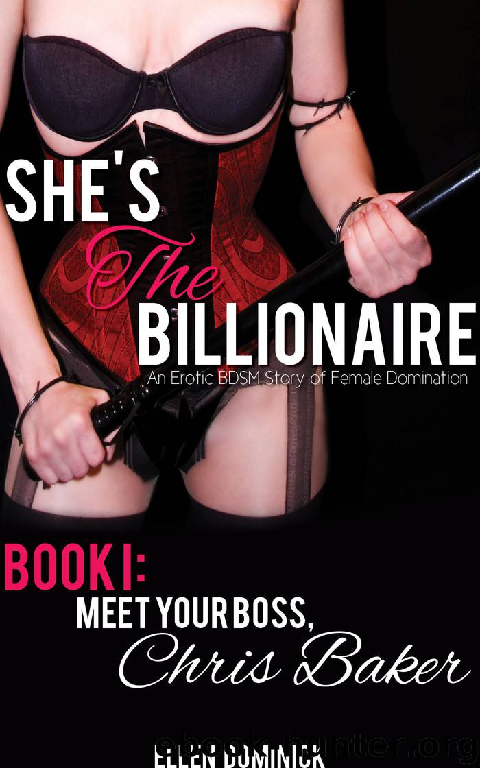 She's the Billionaire- Book I: Meet Your Boss, Chris Baker by Ellen Dominick