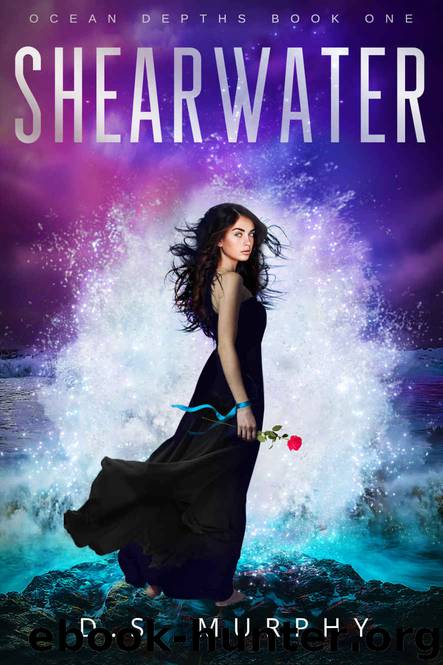 Shearwater by D.S. Murphy