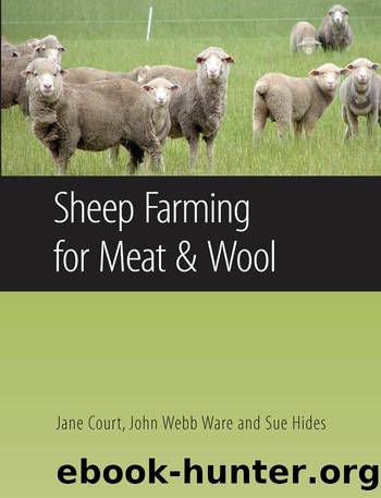 Sheep Farming for Meat and Wool by Court Jane;Hides Sue;Webb-Ware John;