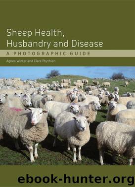 Sheep Health, Husbandry and Disease by Agnes C Winter Clare Phythian