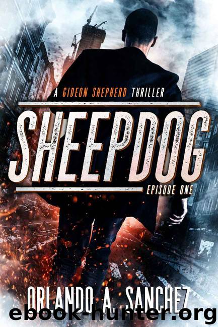 Sheepdog by Orlando A Sanchez