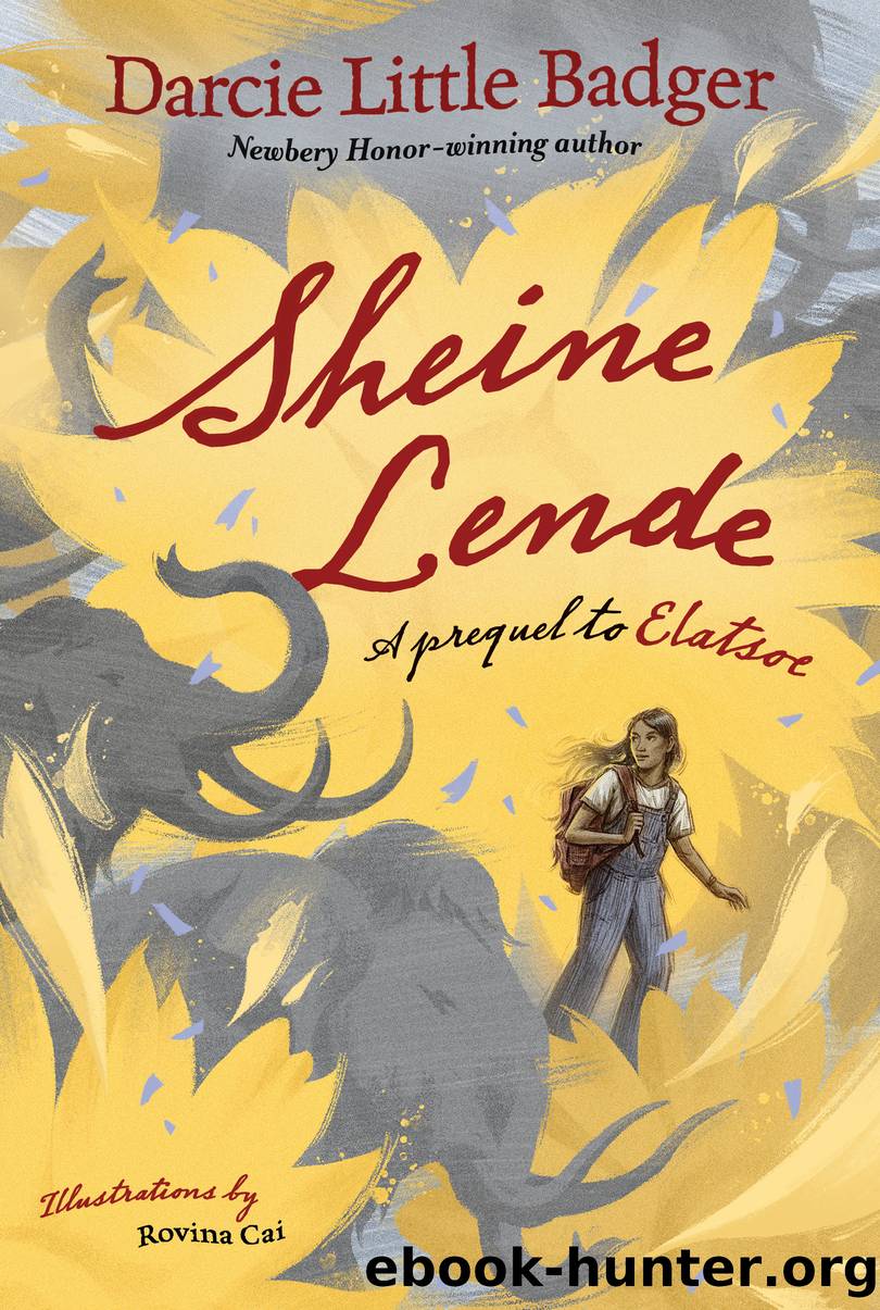 Sheine Lende by Darcie Little Badger
