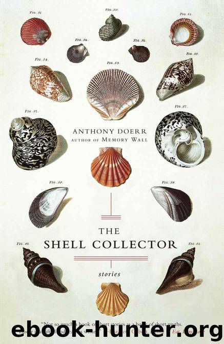 Shell Collector by Anthony Doerr