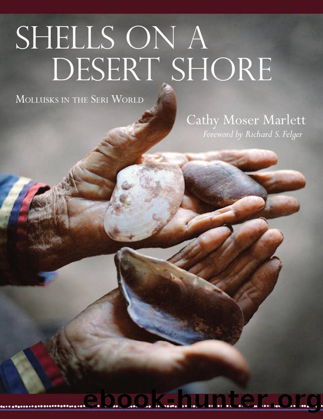 Shells on a Desert Shore: Mollusks in the Seri World by Cathy Moser Marlett