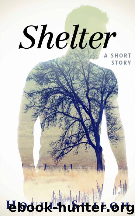 Shelter (shifters and partners Book 7) by Shiloh Hollis