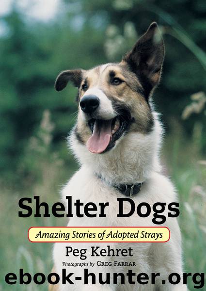 Shelter Dogs by Peg Kehret