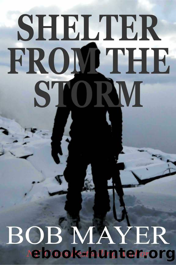 Shelter From The Storm: The Green Berets. Will Kane #6 (Will Kane Book) by Bob Mayer