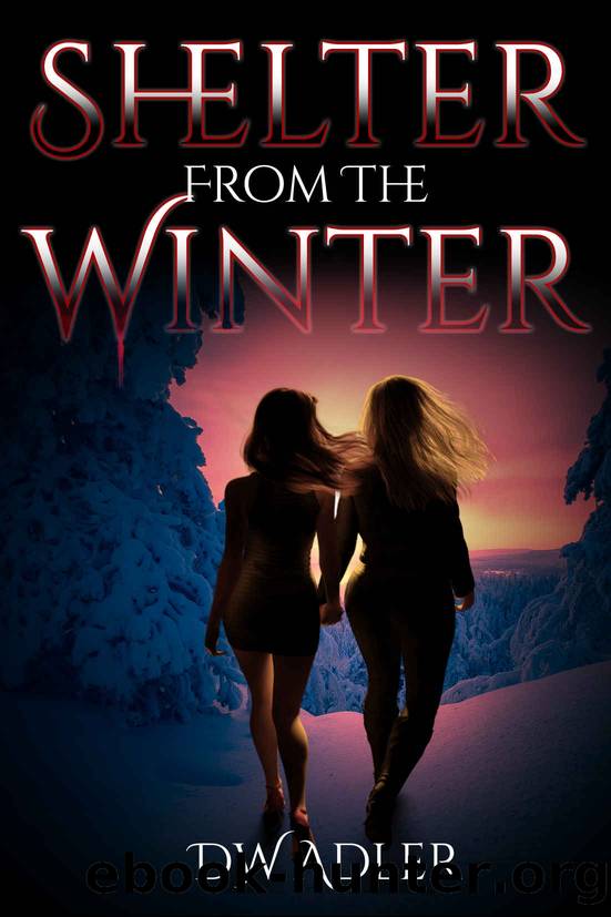 Shelter From The Winter by D.W. Adler