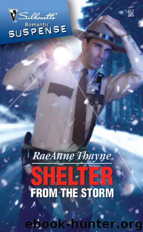 Shelter From the Storm by Raeanne Thayne