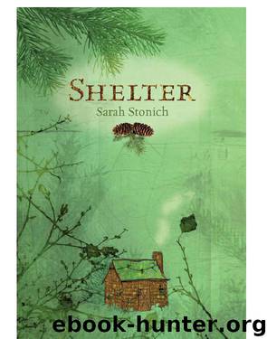 Shelter by Sarah Stonich