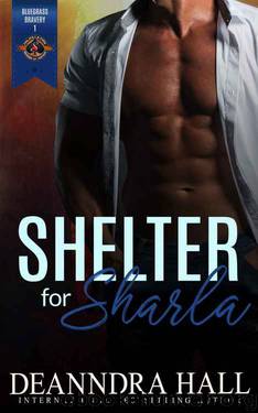 Shelter for Sharla by Deanndra Hall