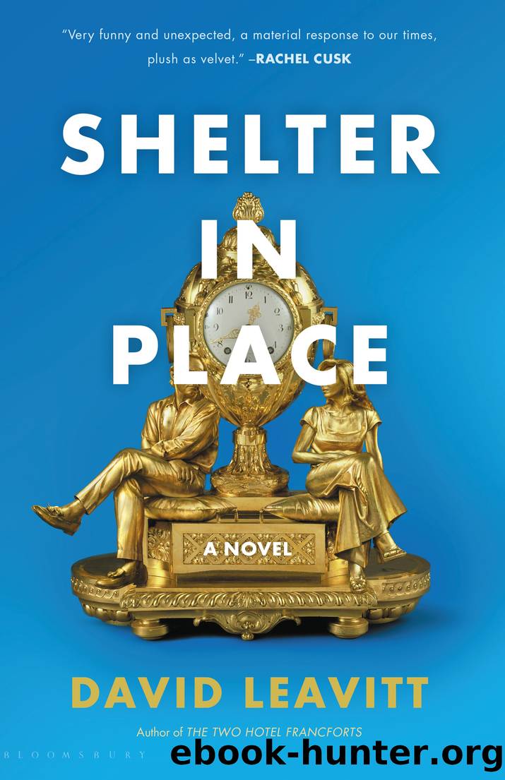Shelter in Place by David Leavitt