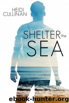 Shelter the Sea by Heidi Cullinan
