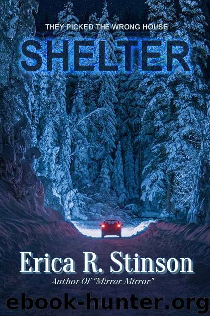 Shelter: A Gripping Suspense Thriller by Erica R. Stinson