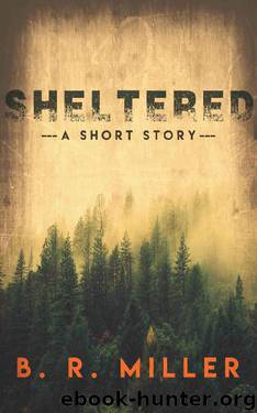Sheltered_A Short Story by B. R. Miller