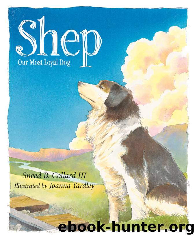 Shep by Sneed B. Collard