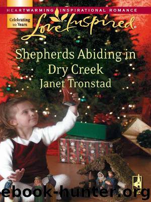Shepherds Abiding In Dry Creek by Janet Tronstad