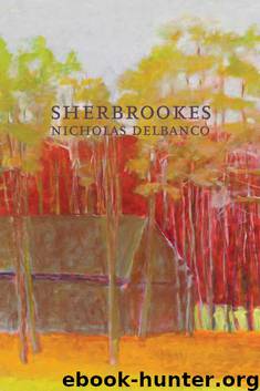 Sherbrookes: Possession / Sherbrookes / Stillness (American Literature Series) by Delbanco Nicholas