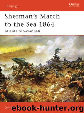 Sherman's March to the Sea 1864 by David Smith