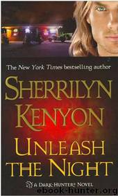 Sherrilyn Kenyon - Dark Hunter 13 by Unleash The Night