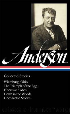 Sherwood Anderson by unknow