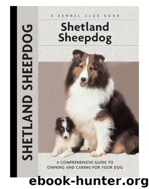 Shetland Sheepdog by Charlotte Schwartz