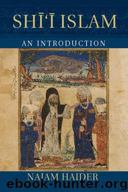 Shi'i Islam: An Introduction (Introduction to Religion) by Haider Najam