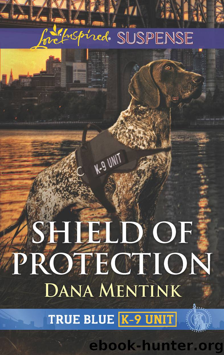 Shield of Protection by Dana Mentink