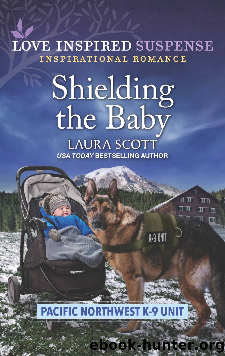 Shielding the Baby by Laura Scott