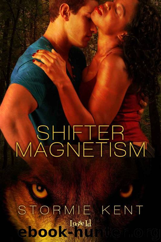 Shifter Magnetism by Stormie Kent