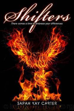 Shifters (The Neturu Chronicles Book 3) by Sarah Carter