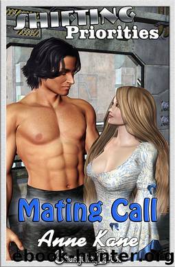 Shifting Priorities by Nanette Salomon