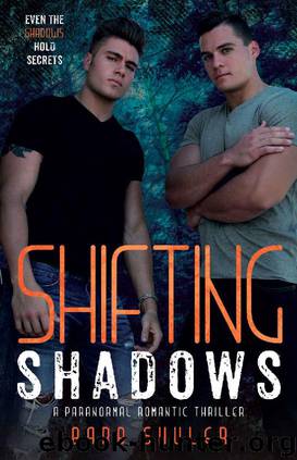 Shifting Shadows by Barb Shuler