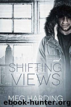 Shifting Views (The Carlisles Book 4) by Meg Harding