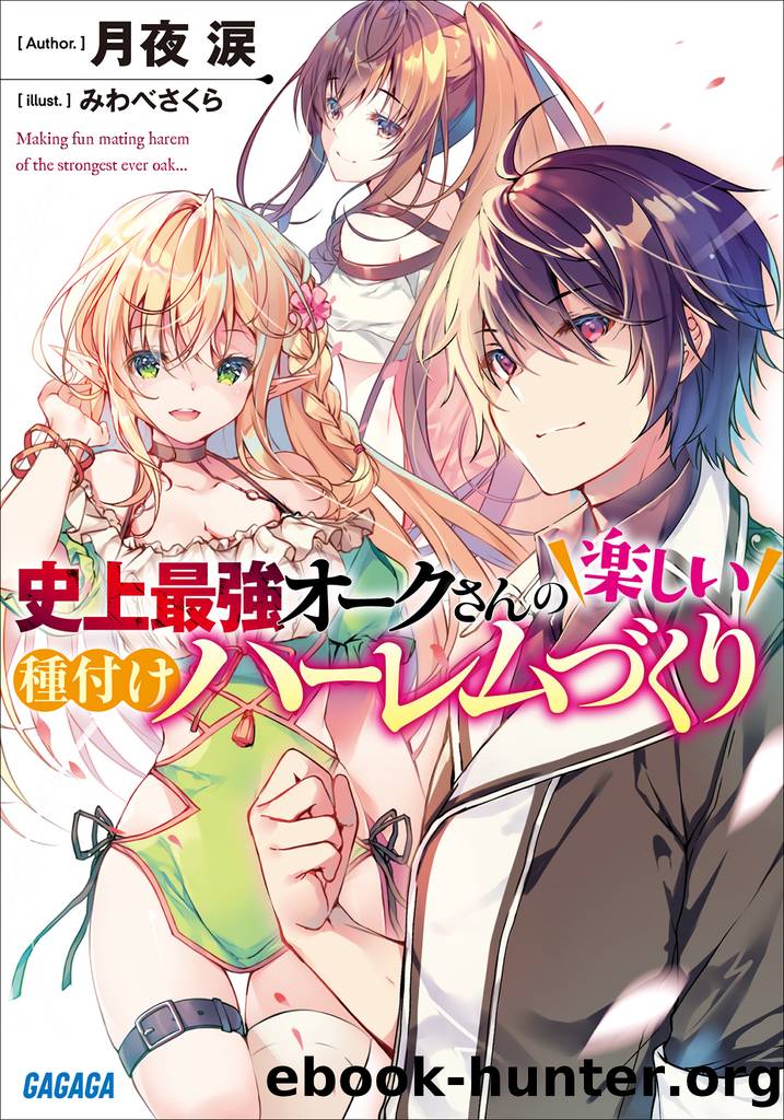 Shijou Saikyou Orc-san no Tanoshii Tanetsuke Harem Tzukuri: Volume 1 by Tsukiyo Rui