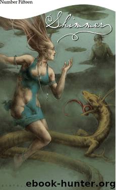 Shimmer - Issue Number Fifteen by Shimmer