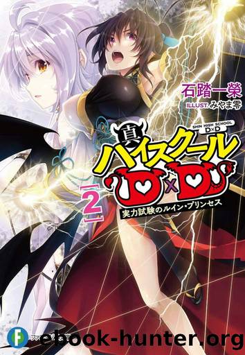 Shin Highschool DxD Volume 2 by Ichiei Ishibumi