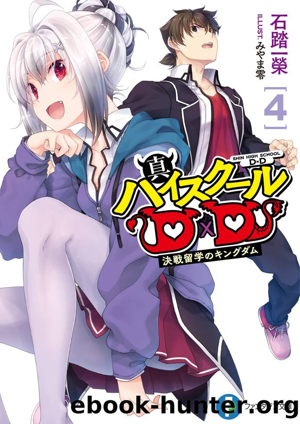 Shin Highschool DxD Volume 4 by Ichiei Ishibumi