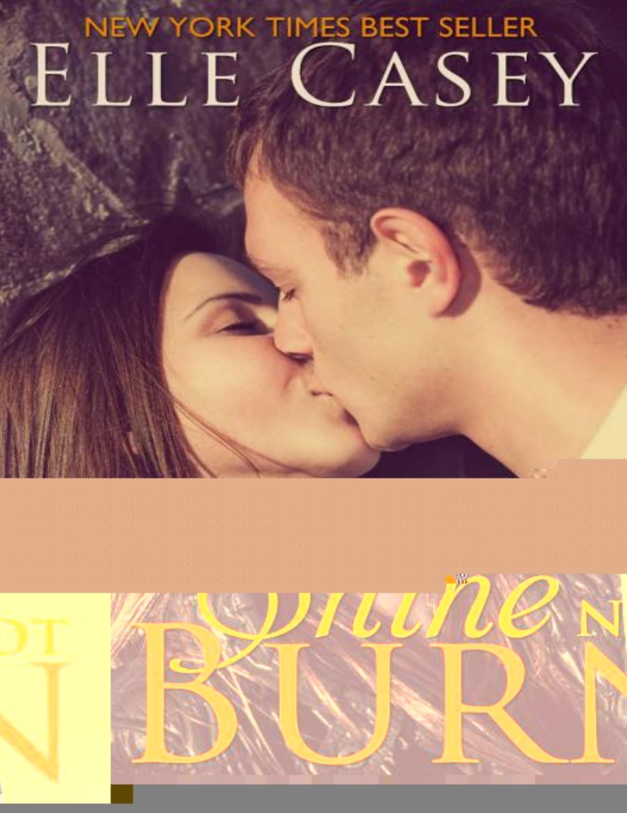 Shine Not Burn by Elle Casey