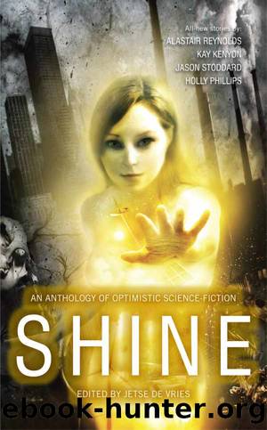 Shine by Jetse de Vries