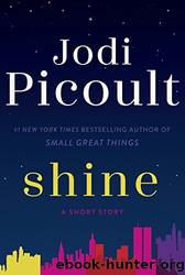 Shine by Picoult Jodi