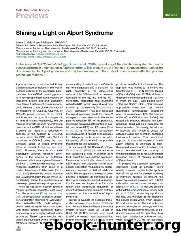 Shining a Light on Alport Syndrome by Lorna J. Hale & Melissa H. Little