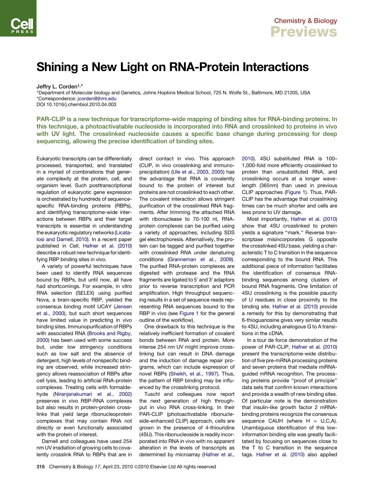 Shining a New Light on RNA-Protein Interactions by Jeffry L. Corden
