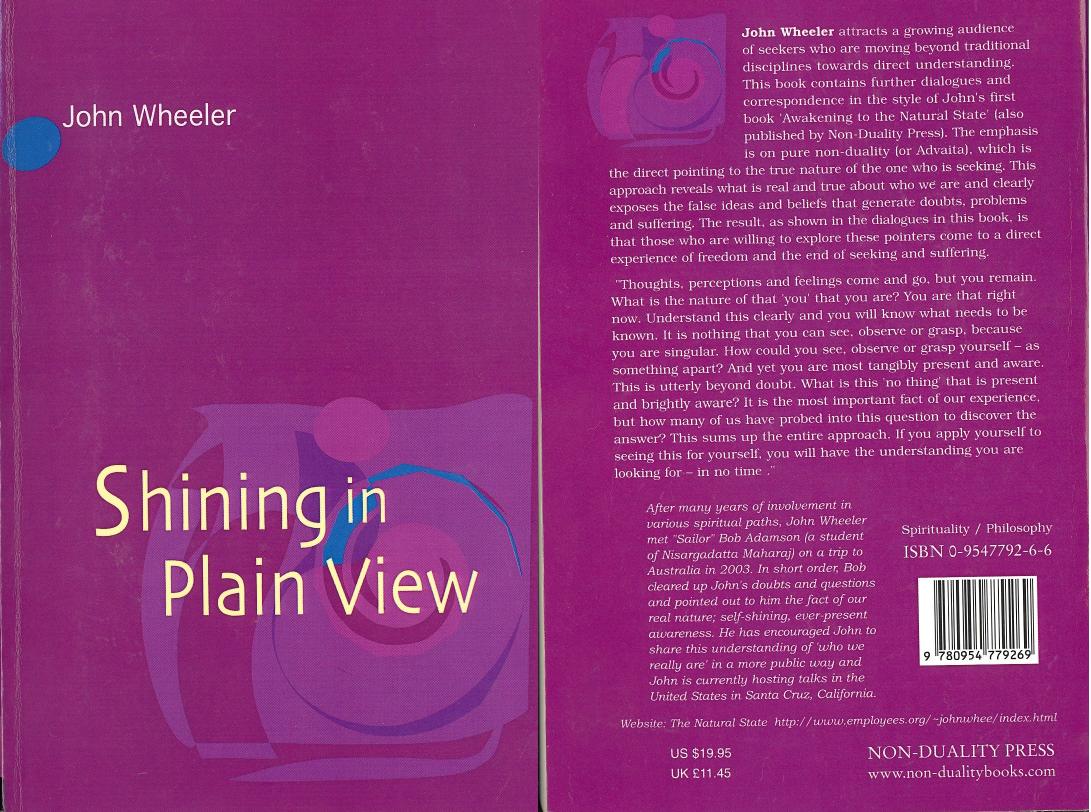 Shining in Plain View by John Wheeler