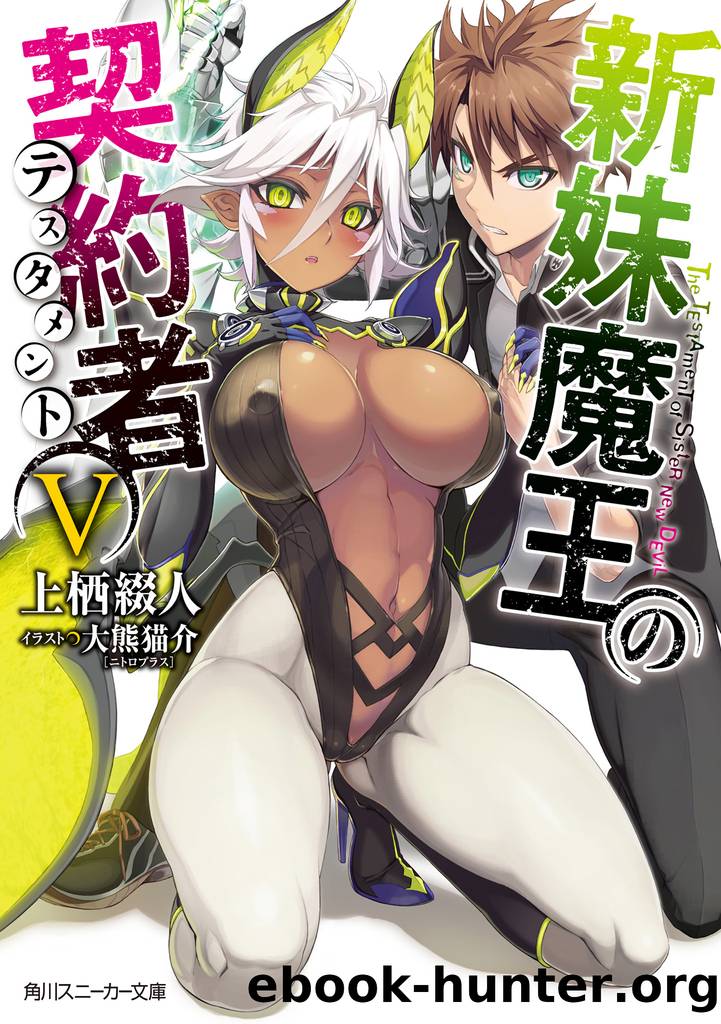 Shinmai Maou no Testament: Volume V by Tetsuto Uesu