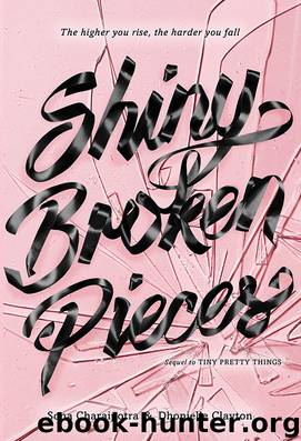 Shiny Broken Pieces by Sona Charaipotra