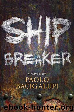 Ship Breaker by Unknown