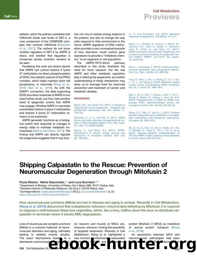 Shipping Calpastatin to the Rescue: Prevention of Neuromuscular Degeneration through Mitofusin 2 by Paula Rebelo & Marta Giacomello & Luca Scorrano