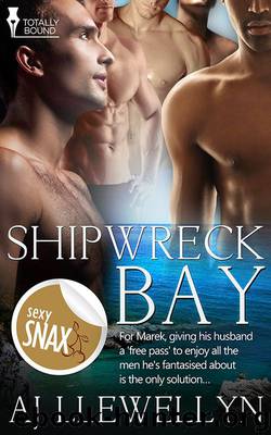 Shipwreck Bay by A.J. Llewellyn