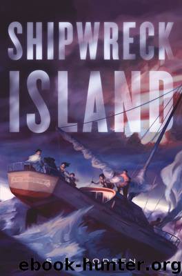 Shipwreck Island by S. A. Bodeen